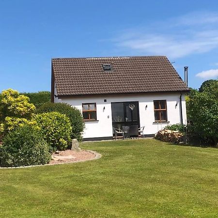 Country Cottage Close To The City. Newry Eksteriør billede
